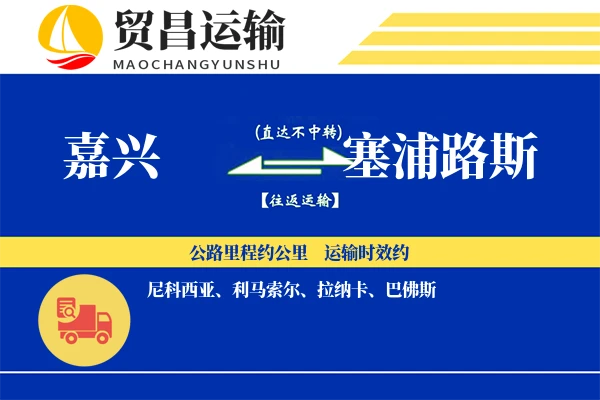 嘉兴到塞浦路斯物流专线 | 空运海运双清包税 | 门到门国际物流服务