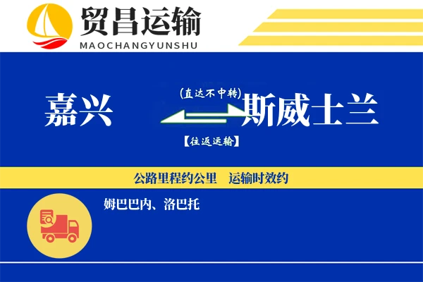 嘉兴到斯威士兰物流专线 | 空运海运双清包税 | 门到门国际物流服务