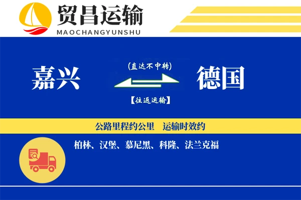 嘉兴到德国物流专线 | 空运海运双清包税 | 门到门国际物流服务