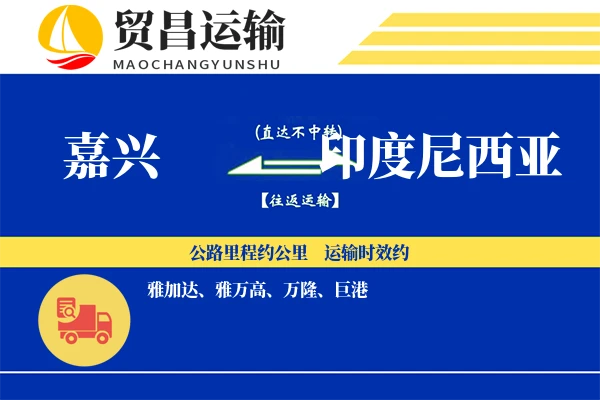 嘉兴到印度尼西亚物流专线 | 空运海运双清包税 | 门到门国际物流服务