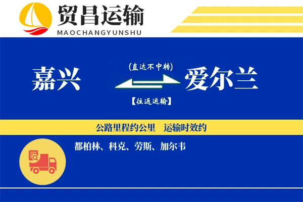 嘉兴到爱尔兰物流专线 | 空运海运双清包税 | 门到门国际物流服务