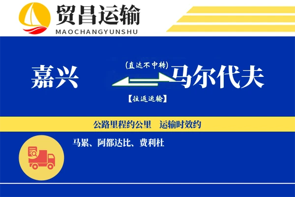嘉兴到马尔代夫物流专线 | 空运海运双清包税 | 门到门国际物流服务