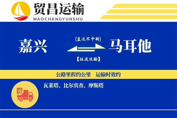 嘉兴到马耳他物流专线 | 空运海运双清包税 | 门到门国际物流服务