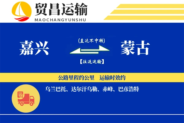 嘉兴到蒙古物流专线 | 空运海运双清包税 | 门到门国际物流服务