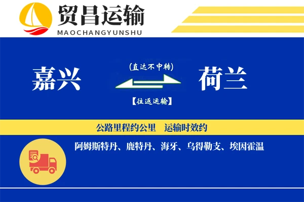嘉兴到荷兰物流专线 | 空运海运双清包税 | 门到门国际物流服务