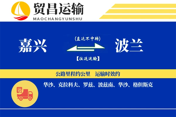 嘉兴到波兰物流专线 | 空运海运双清包税 | 门到门国际物流服务