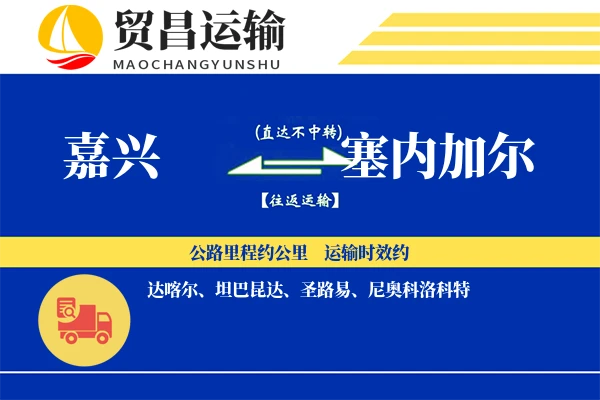 嘉兴到塞内加尔物流专线 | 空运海运双清包税 | 门到门国际物流服务