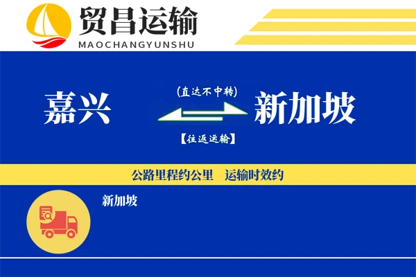 嘉兴到新加坡物流专线 | 空运海运双清包税 | 门到门国际物流服务