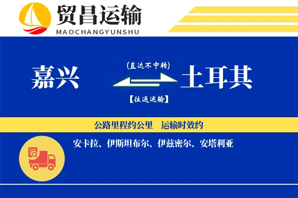 嘉兴到土耳其物流专线 | 空运海运双清包税 | 门到门国际物流服务