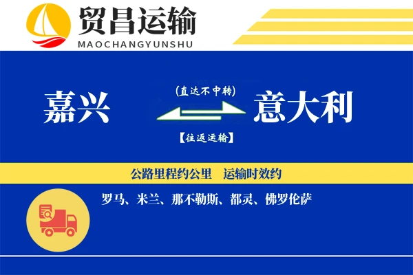 嘉兴到意大利物流公司