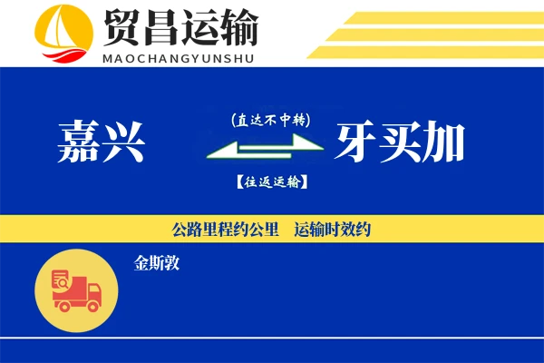 嘉兴到牙买加物流公司