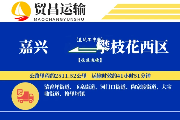 嘉兴到攀枝花西区物流公司