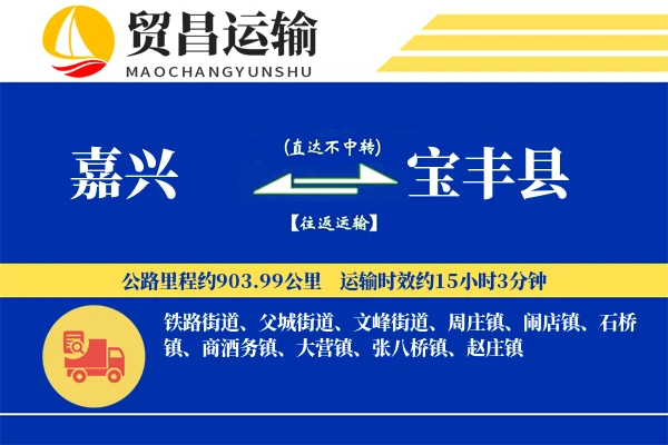 嘉兴到宝丰县物流公司