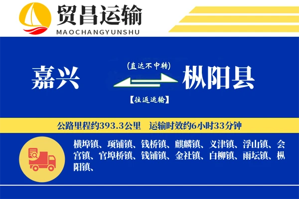 嘉兴到枞阳县物流专线-嘉兴至枞阳县货运公司