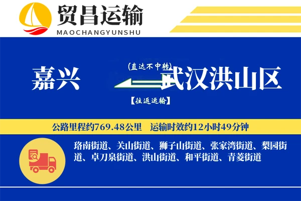 嘉兴到武汉洪山区物流公司