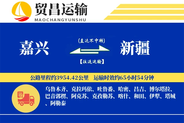 嘉兴到新疆物流专线-嘉兴至新疆货运公司