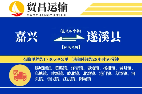 嘉兴到遂溪县物流公司