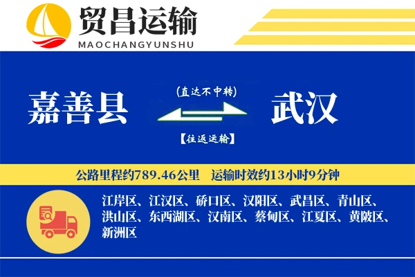 嘉善县到武汉物流公司